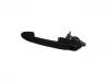 Türgriff Door Handle:46445209